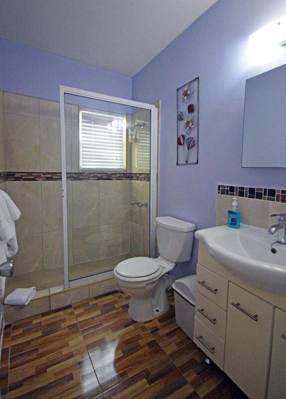 Ferienwohnung Sea 7 Ocho Rios Exterior foto